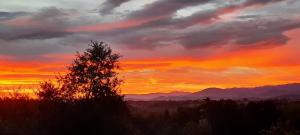 a sunset with a tree in the foreground at Pyrenees Vue Gite - Vues Fantastique, Parking Gratuit Sur Place & Piscine in Saint-Gaudens