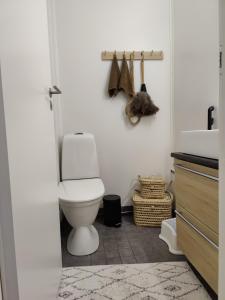a bathroom with a white toilet and a sink at Sunstar Villa in Rovaniemi