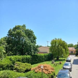 una fila di auto parcheggiate in un parcheggio di Da Francesco a Pisa