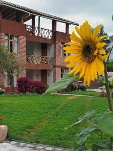 Zahrada ubytování Allin Illary Eco Hospedaje