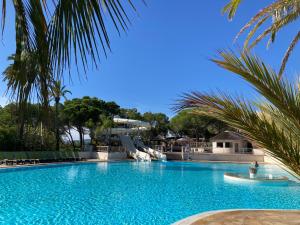 a swimming pool with palm trees and a water slide at La Baume 515 in Fréjus