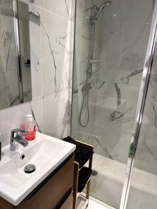 een badkamer met een wastafel en een douche bij Studios tres chaleureux in Roubaix