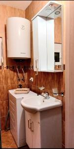 Kuchyň nebo kuchyňský kout v ubytování Apartman Maslina