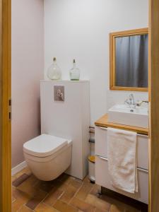 een badkamer met een toilet en een wastafel bij Chez Bernadette Alsace prox Route des Vins et Europa Park Rulantica in Marckolsheim