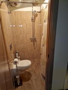La petite salle de bains est pourvue d'une douche et de toilettes. dans l'établissement Valley of Peace with free parking&playground, à Ikšķile