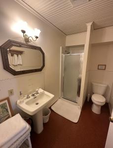 a bathroom with a shower and a sink and a toilet at Orcas Hotel in Orcas
