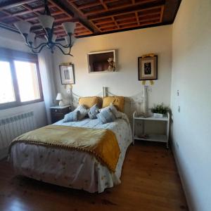 1 dormitorio con 1 cama en una habitación en La Artesonada casa con finca (Puebla de Sanabria)., en Puebla de Sanabria