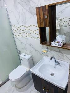 een badkamer met een wastafel, een toilet en een spiegel bij RAMA CAMP wadi rum in Disah