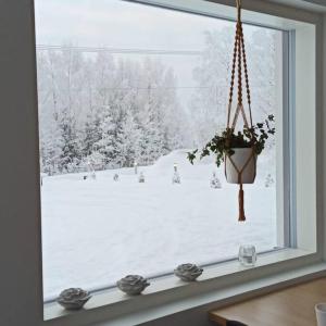 North Aurora Villa with a large private yard near the Arctic Circle v zimě