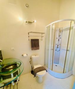 y baño con lavabo de cristal y aseo. en Les chambres de la Villa EUGÉNIE, en Lézignan-Corbières