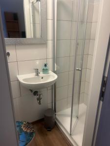 een badkamer met een wastafel en een douche bij Ferienwohnung Siegen Eiserfeld 5 in Siegen