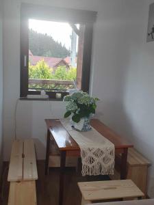 a table with a potted plant on it with a window at Aqua Garden in Miercurea-Ciuc