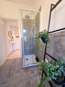 a glass shower in a room with potted plants at Il Nido Casa indipendente a Fiumicino Self check in in Fiumicino