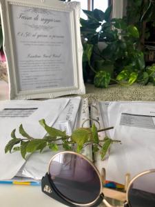 um par de óculos de sol sentados numa mesa com um menu em Haus Senter 