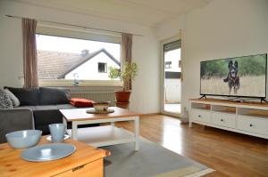 ein Wohnzimmer mit einem Sofa und einem TV in der Unterkunft Zur angenehmen Gegend in Annweiler am Trifels