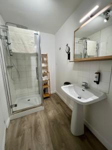 een badkamer met een wastafel en een douche bij Flor du Mont Gîte in Pontorson