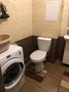 bagno con servizi igienici e lavatrice. di Квартира по вулиці Набережна a Vyšhorod