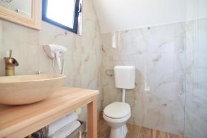 une salle de bain avec un lavabo et des toilettes dans l'établissement Guest House Max, à Žabljak 35 autres photos