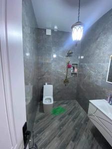 La salle de bains est pourvue de toilettes et d'un lavabo. dans l'établissement My sweet home in Rustavi city 1, à Roustavi