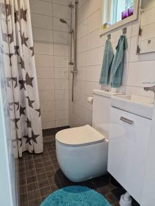 a bathroom with a toilet and a sink and a shower at Övernattningsrum i separat gästhus på Sävastön in Boden