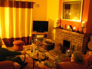 Killurin Lodge في ويكسفورد: مجموعة من الناس يجلسون في غرفة المعيشة مع موقد