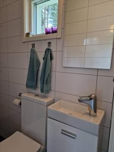 La salle de bains est pourvue de toilettes, d'un lavabo et d'un miroir. dans l'établissement Övernattningsrum i separat gästhus på Sävastön, à Boden