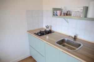 una cucina con un lavello e un piano di lavoro di Villa Giardino Sa Tiacca a SantʼAndrea Altre 49 foto