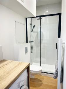 a bathroom with a toilet and a glass shower at LE CARREAU DE FALGUIERE - Hypercentre - Gare in Toulouse