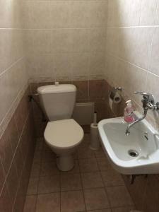 La salle de bains est pourvue de toilettes et d'un lavabo. dans l'établissement Apartmán s terasou a zahradou na cyklostezce, 