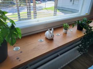 Gambar di galeri bagi Studio central - easy check-in, free wifi & parking di Rovaniemi