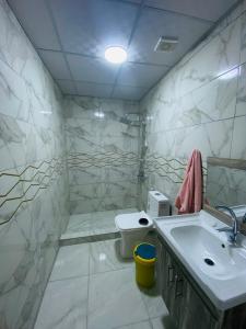 Vannituba majutusasutuses Bedouin oasis