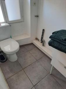 a bathroom with a white toilet and a shower at BudgetBnb 34, Toulon sympathique studio a 2 pas de l'opéra in Toulon