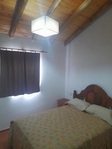 a bedroom with a bed and a chandelier at El rincon de las Marias in San Lorenzo