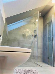 ein Bad mit einem WC und einer Glasdusche in der Unterkunft Ruhige Wohnung im Schwarzwald in Villingen-Schwenningen