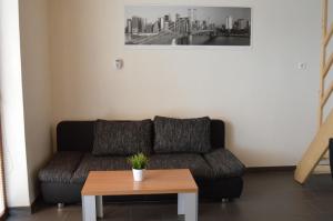 Fotografie z fotogalerie ubytování Domeček Losiny ve Velkých Losinách