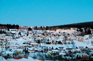 Wohnung in Sankt Englmar Nr 512 v zimě
