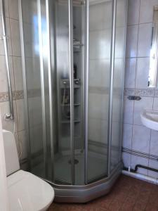 eine Dusche im Bad mit WC und Waschbecken in der Unterkunft Sjöstuga/gästhus i skärgården. in Åkersberga