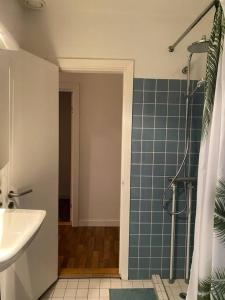 uma casa de banho com um chuveiro, um lavatório e um chuveiro em Renovated apartment near nature em Birkerød