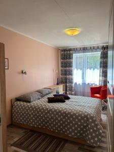 Postel nebo postele na pokoji v ubytování Spacious & cozy apartment