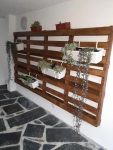 een houten muur met potplanten erop bij Casa de baixo studios in Arouca