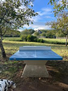 - une table de ping-pong bleue dans un parc avec un chien dans l'établissement *A setting between Dordogne and swimming pool*, à Argentat