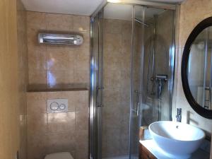 een badkamer met een douche en een wastafel bij Chalet avec vue imprenable et au calme in Chalais