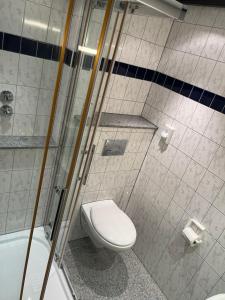 a bathroom with a toilet and a shower at Hotel Eifeltor in Mechernich
