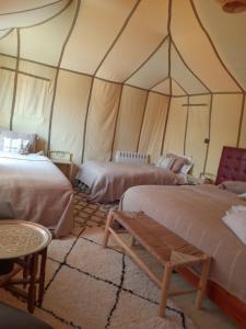 Postel nebo postele na pokoji v ubytování Sahara Stories Camp " Heated Tents"
