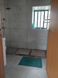 y baño con ducha y alfombra verde en el suelo. en Casa Xavier, en Ponta Delgada