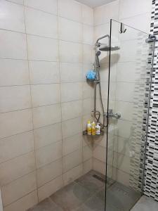 een badkamer met een douche en een glazen deur bij Apartman Luna *** in Rijeka