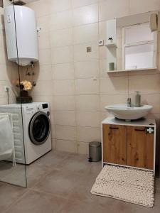 een badkamer met een wasmachine en een wastafel bij Apartman Luna *** in Rijeka