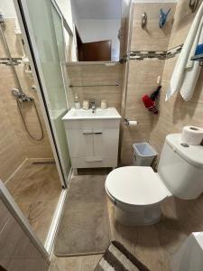 a bathroom with a toilet and a shower and a sink at Sun Beach Apartment in Machico