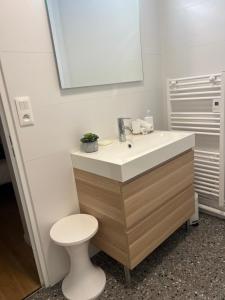 La salle de bains est pourvue d'un lavabo et de toilettes. dans l'établissement Appartement - cœur de Ramonville, à Ramonville-Saint-Agne