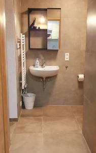 a bathroom with a sink and a mirror at Eibauer Apartments in Sinsheim
